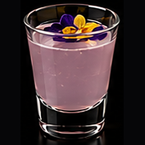 Bombay Bouquet served in a coupe glass with edible flower on a dark bar background